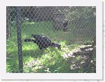 Dierentuin Burgers  Zoo 018 * 3648 x 2736 * (5.59MB)